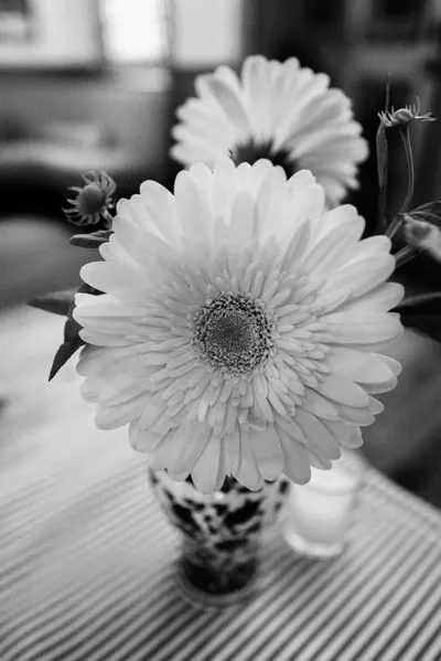 Abigail + Nathaniel -14.jpg